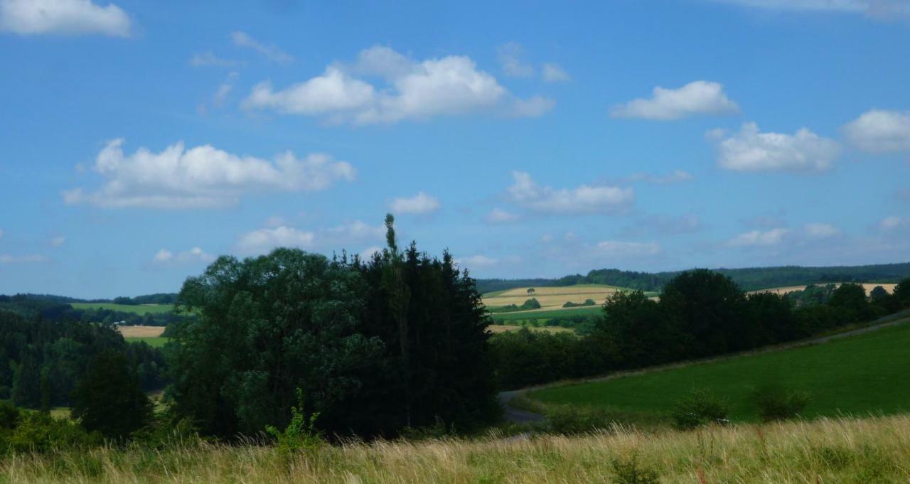 Wolfs Ferienhaus - Natuerlich Eifel Blankenheim  Buitenkant foto