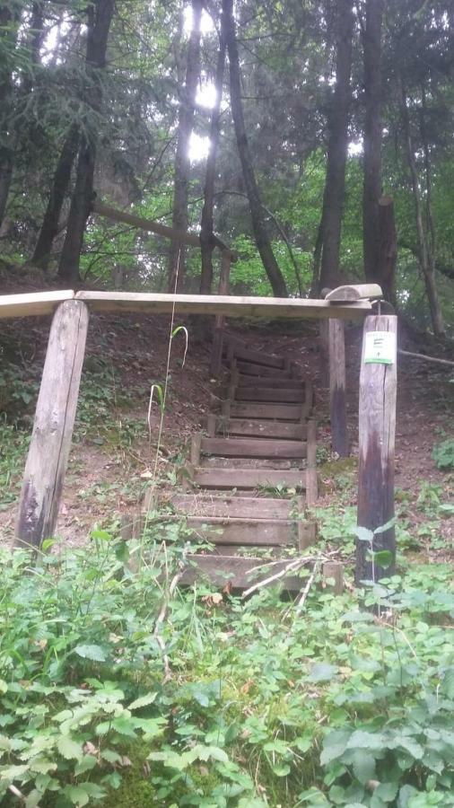 Wolfs Ferienhaus - Natuerlich Eifel Blankenheim  Buitenkant foto