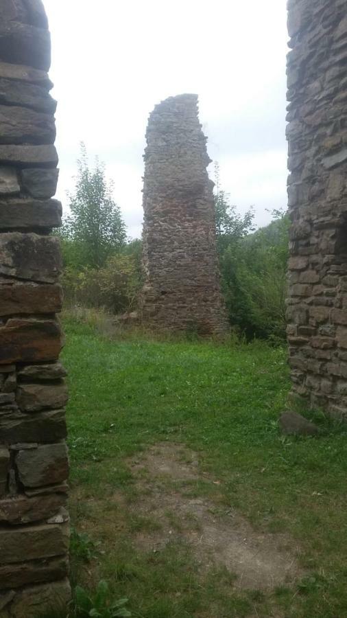 Wolfs Ferienhaus - Natuerlich Eifel Blankenheim  Buitenkant foto