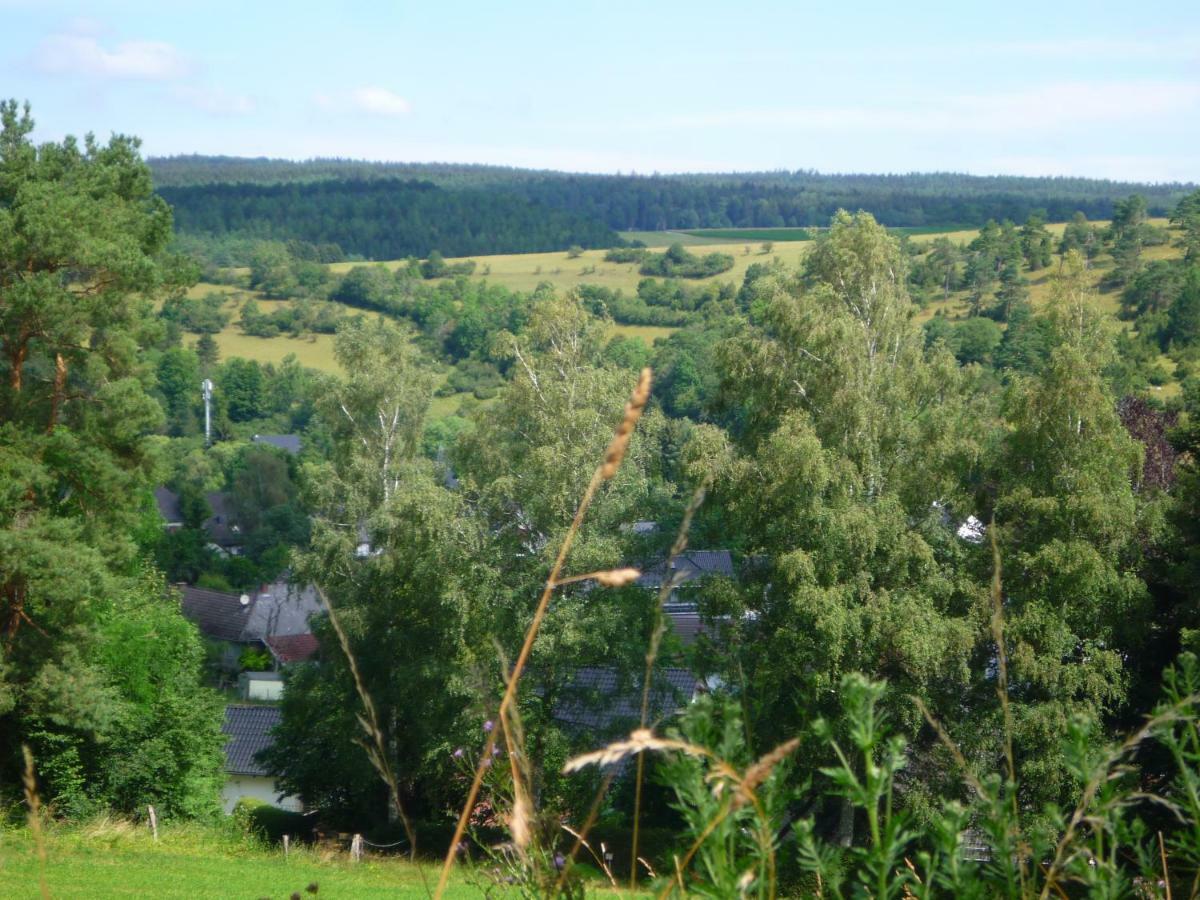 Wolfs Ferienhaus - Natuerlich Eifel Blankenheim  Buitenkant foto