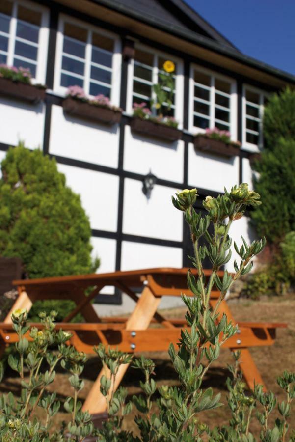 Wolfs Ferienhaus - Natuerlich Eifel Blankenheim  Buitenkant foto